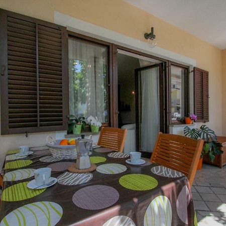 Apartment Sanja Novigrad Istria Esterno foto