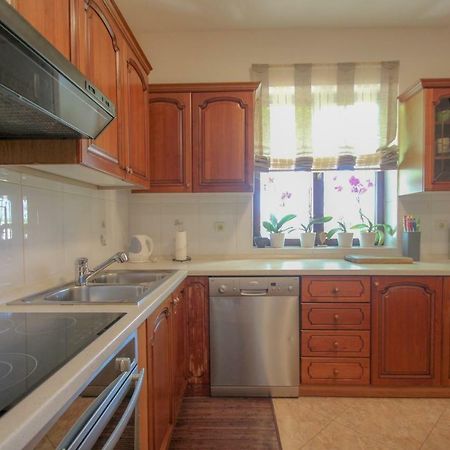 Apartment Sanja Novigrad Istria Esterno foto